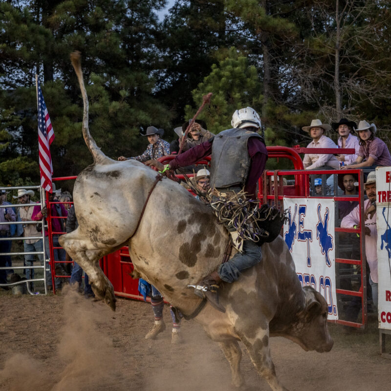 GVL Fest & Rodeo 2027